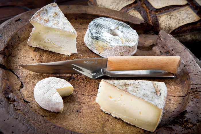 Milovníci sýrů
